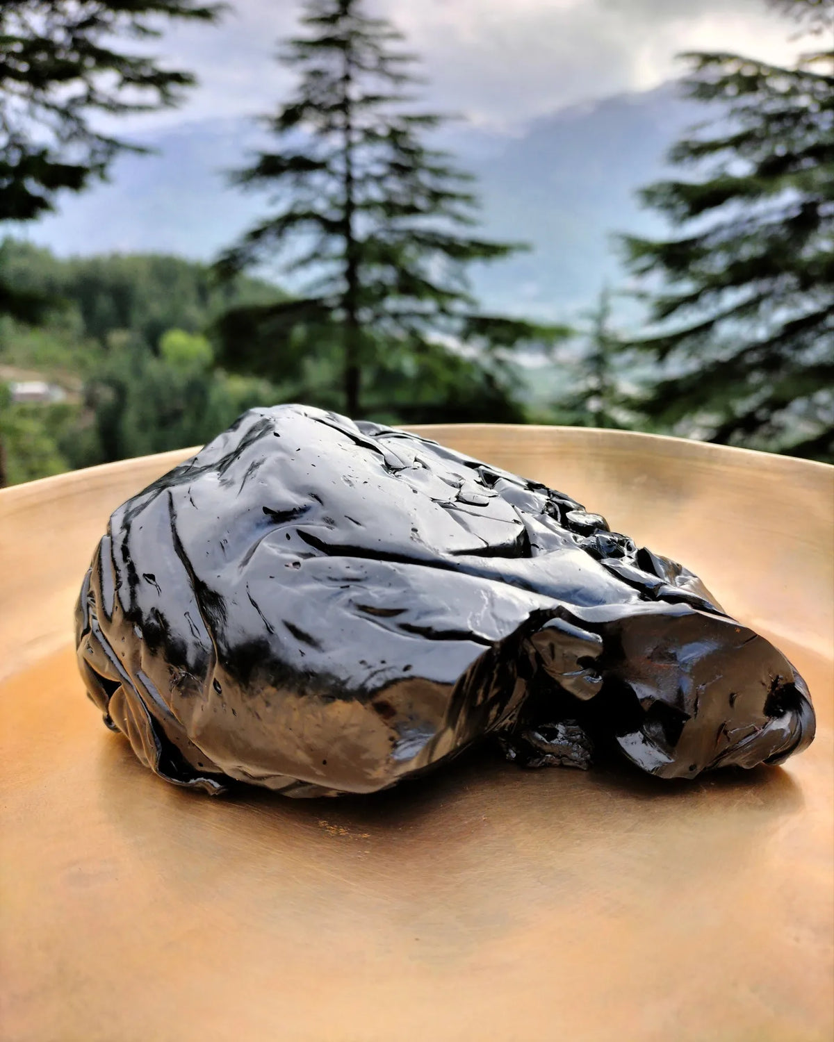 Himalayan Shilajit