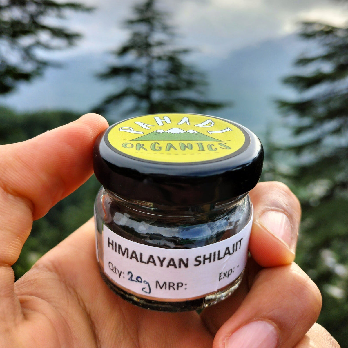 Himalayan Shilajit