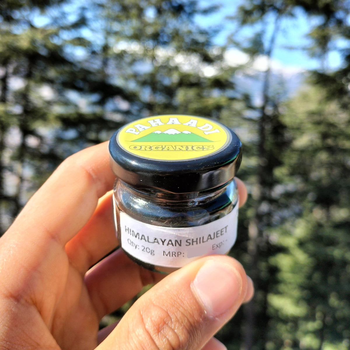 Himalayan Shilajit