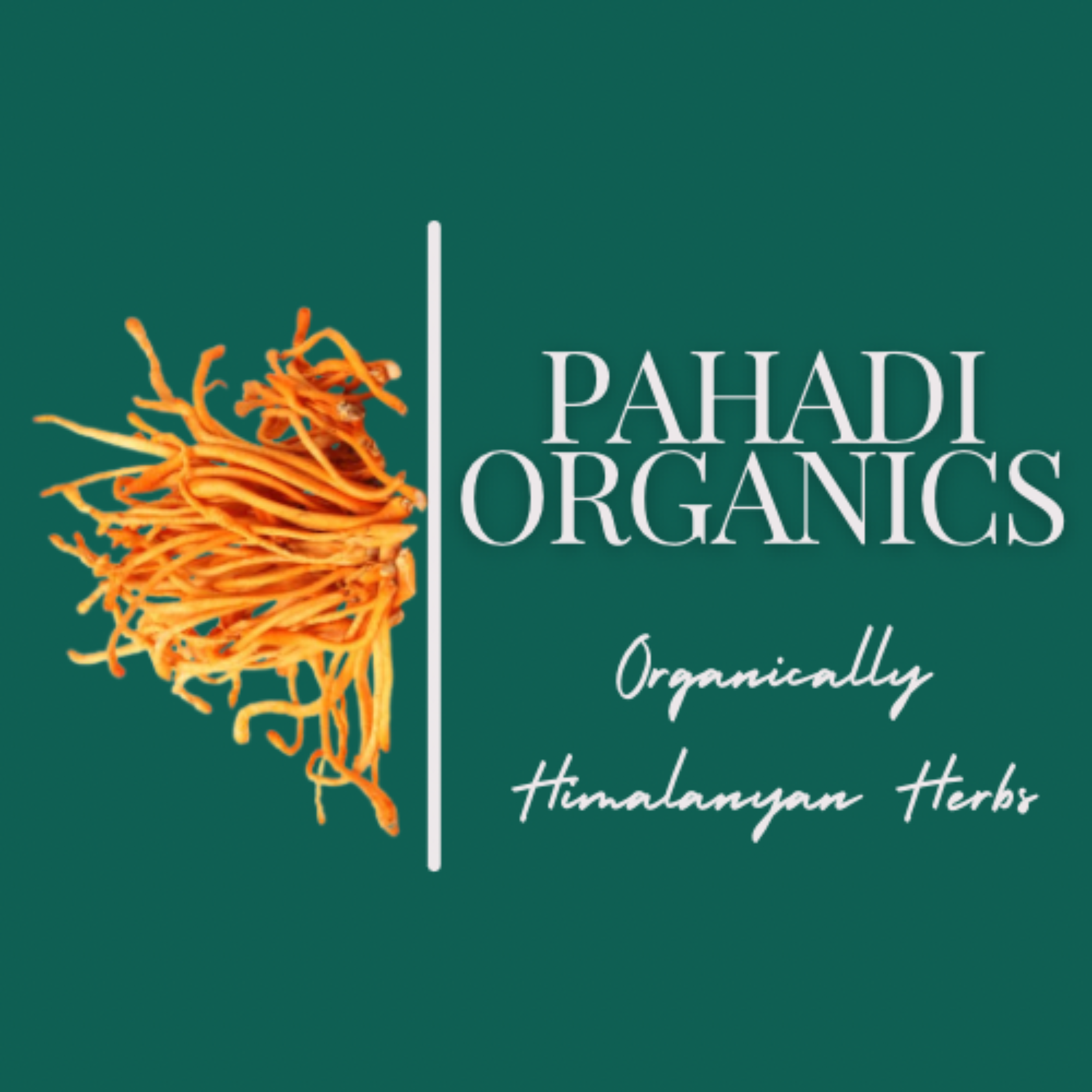 Pahadi Organic Logo